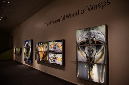 Wasp_exhibition__DSC3452